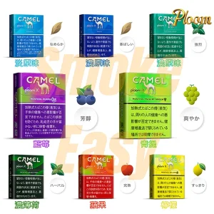 Ploom-x煙彈-七星加熱菸3-1.webp